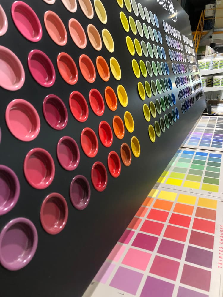 palette de couleur vive