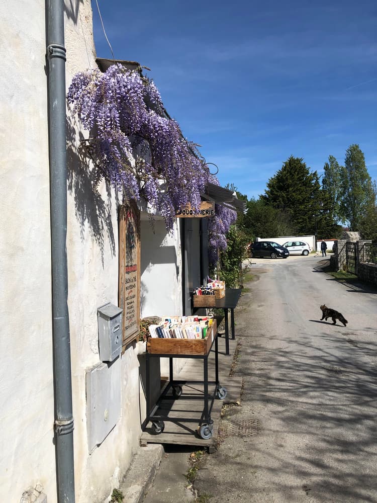 lavande mise à sécher